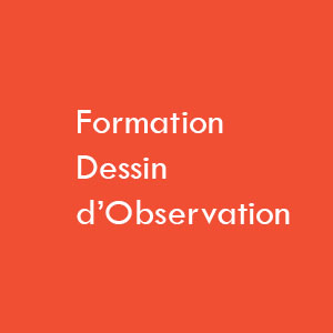 Formation Dessin d' observation Brabant wallon